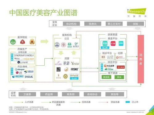 醫(yī)美新紀(jì)元 艾瑞咨詢《2020年中國(guó)醫(yī)療美容行業(yè)洞察白皮書》深度解析